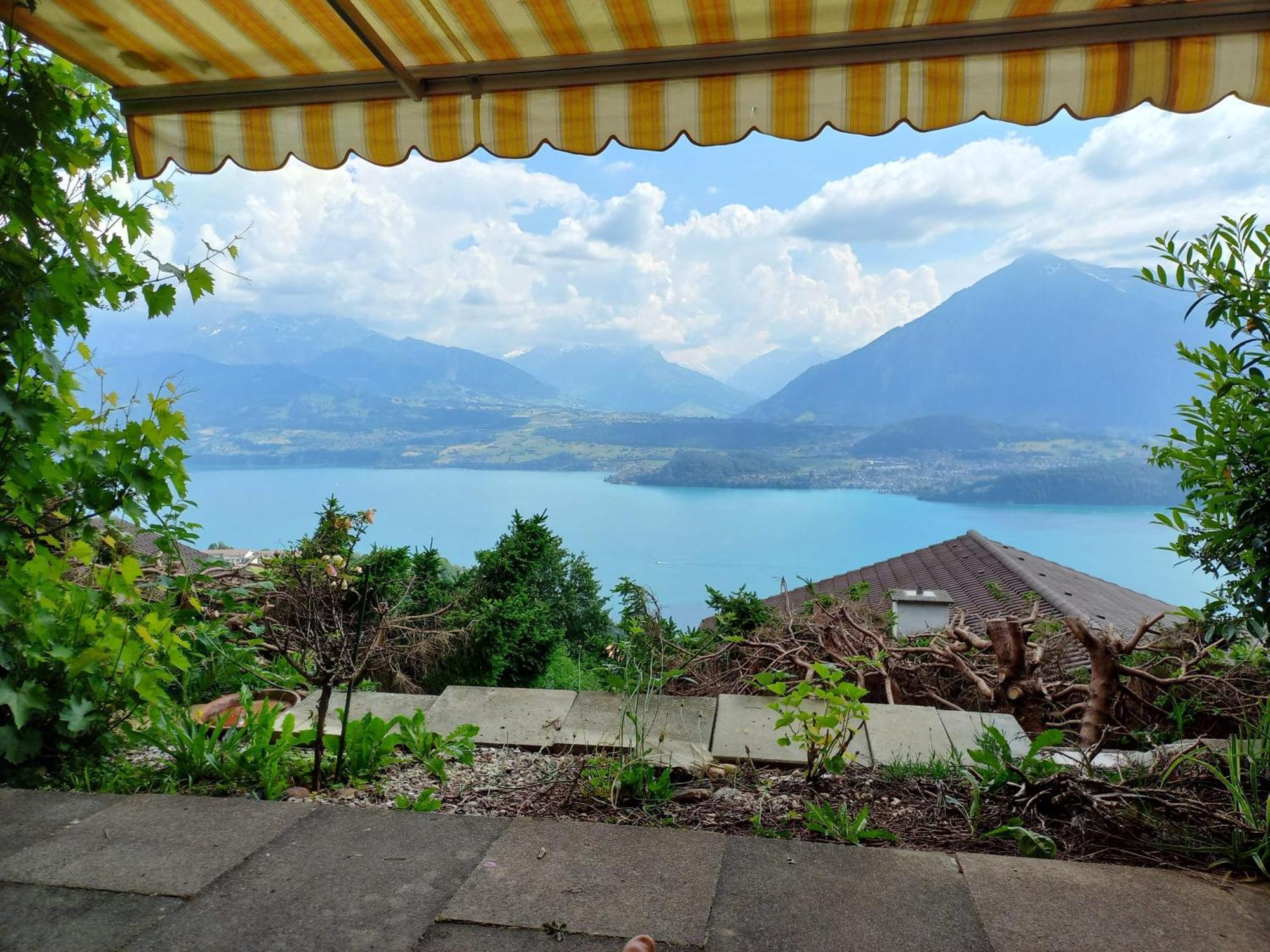 Seeblick Эшлен Экстерьер фото