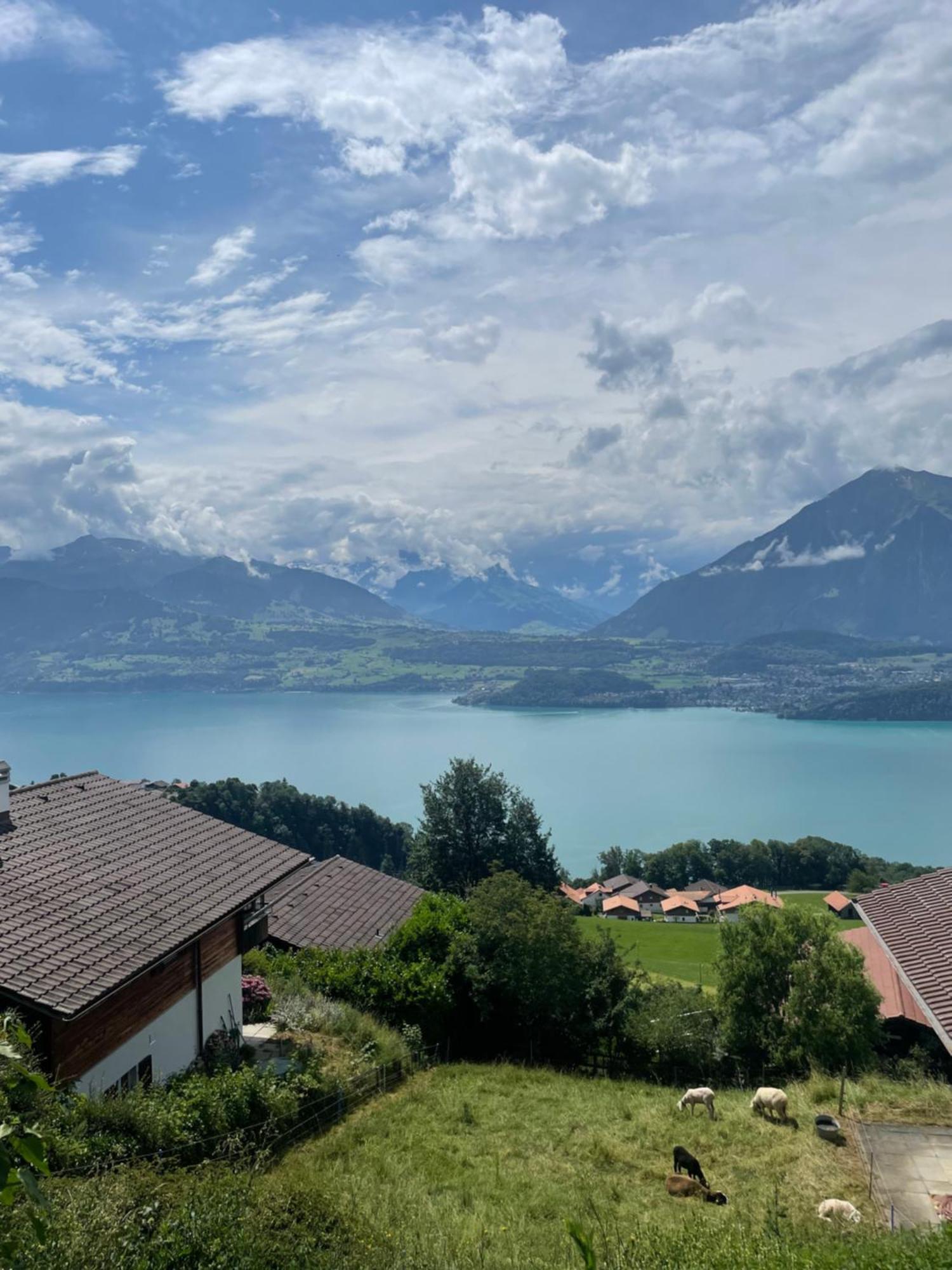 Seeblick Эшлен Экстерьер фото